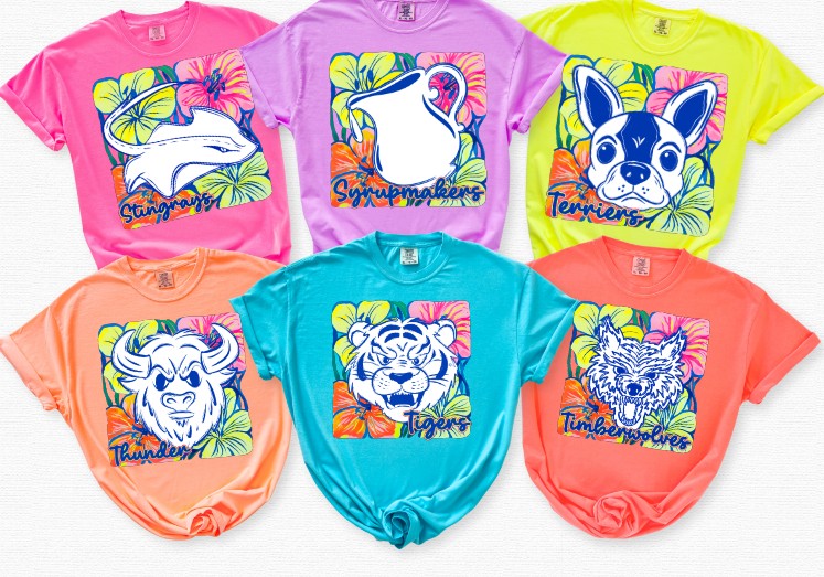 Pastel Wildcats Sublimation or DTF Transfers