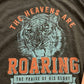 DTF Heavens are roaring the praise of his glory, Ready to Press Transfer