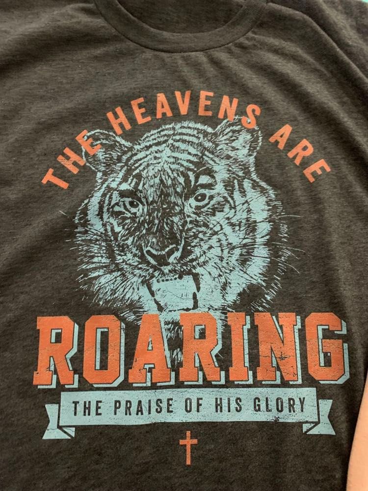 DTF Heavens are roaring the praise of his glory, Ready to Press Transfer