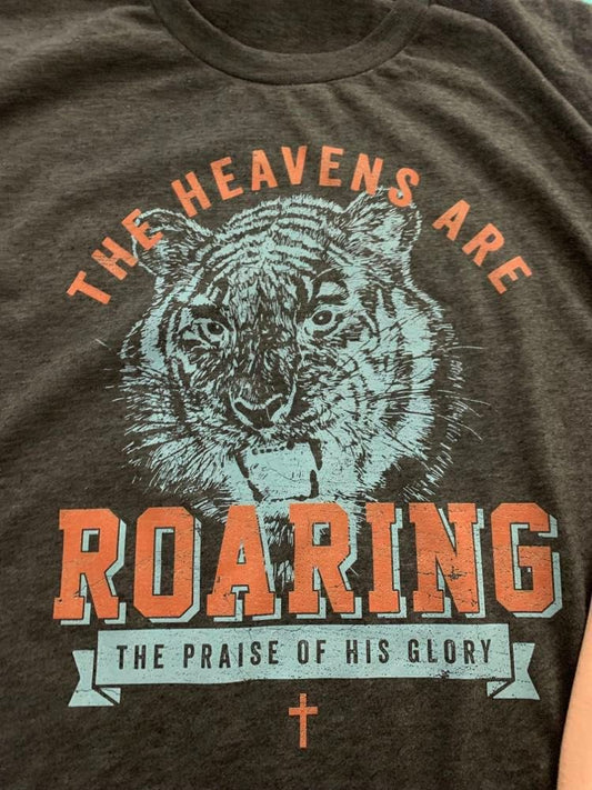 DTF Heavens are roaring the praise of his glory, Ready to Press Transfer