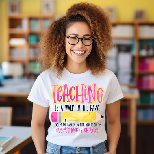 Teaching is a walk in the park funny, Ready to Press DTF Transfer