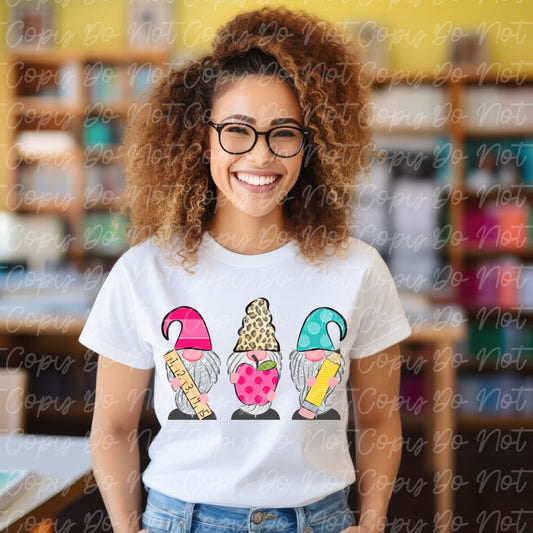 Teacher Gnome Ready to Press DTF Transfer