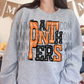 Panthers Sublimation or DTF Transfer
