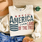 America Land of the Free, Ready to Press DTF Transfer