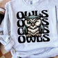 Owls Wink Eye Sublimation or DTF Transfers