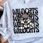 Wildcats Wink Eye Sublimation or DTF Transfers