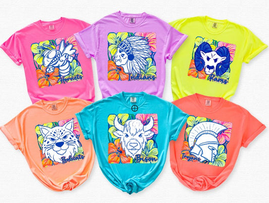 Pastel Trojans Sublimation or DTF Transfers