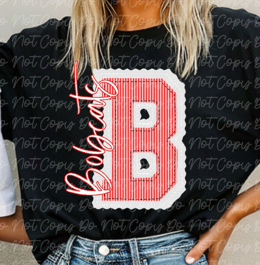 Custom School Mascot Spirit DTF Transfer, Ready to Press