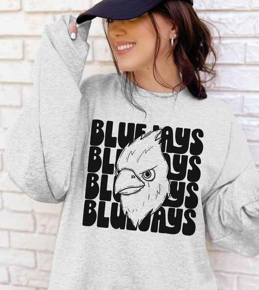 Bluejays School Spirit Sublimation or DTF Transfer