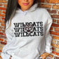 Wildcats School Spirit Custom Color Sublimation or DTF Transfer