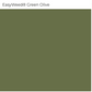 Siser HTV Vinyl - Green Olive