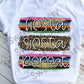 HTV Fiesta Siesta Repeat, Transfer